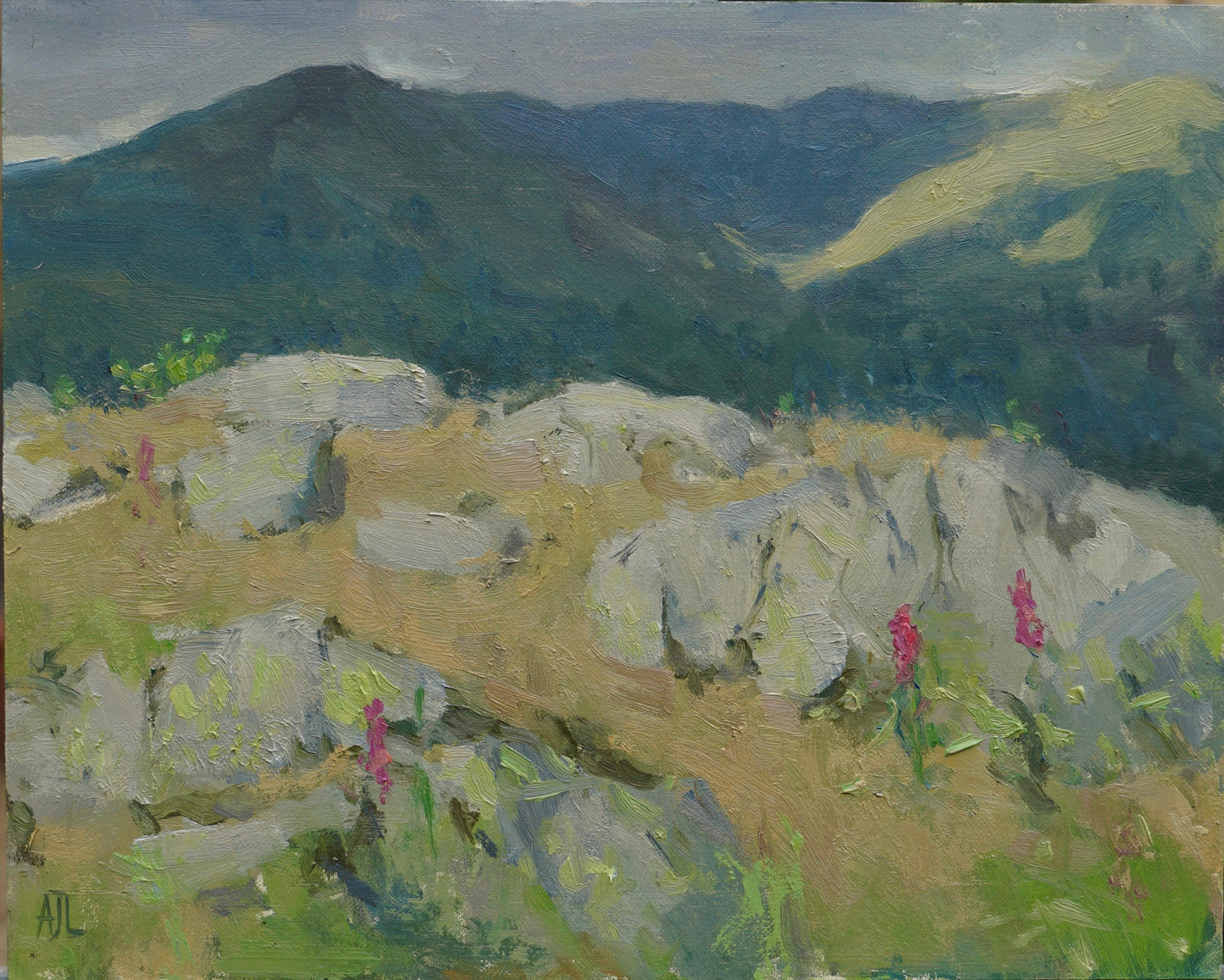An original oil painting of distant hills beyond a rocky outcrop with impressionistic foxglove flowers.