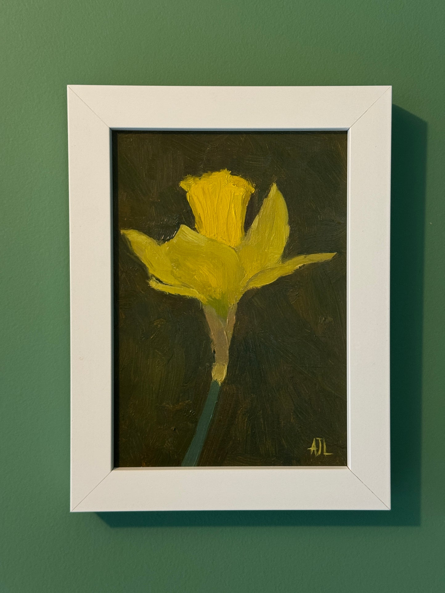 Daffodil II
