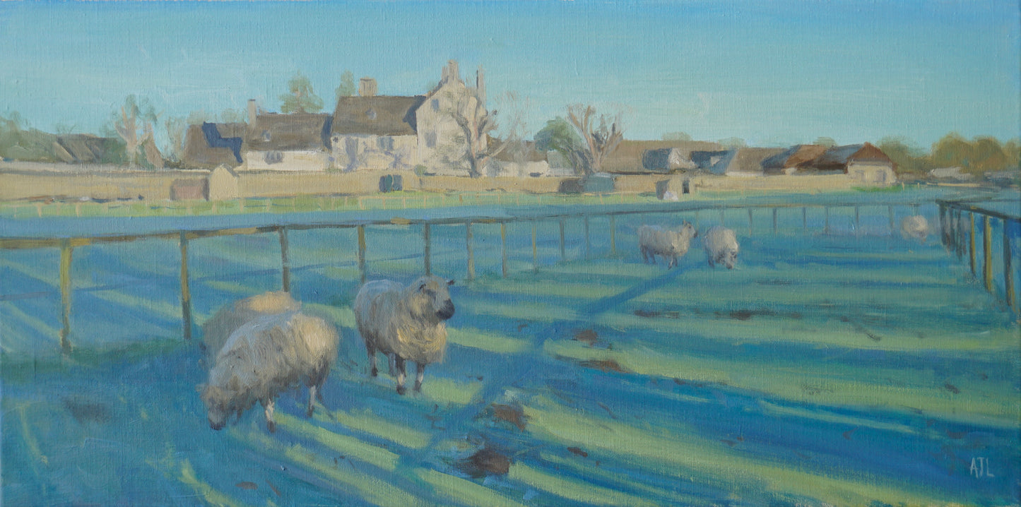 An original oil painting of sheep grazing in a blue and green toned shadowed field in front of Cogges Manor Farm in Witney, Oxfordshire on a cloudless morning. The artist has signed AJL in blue, for "Alex James Long", at the bottom right of the artwork.