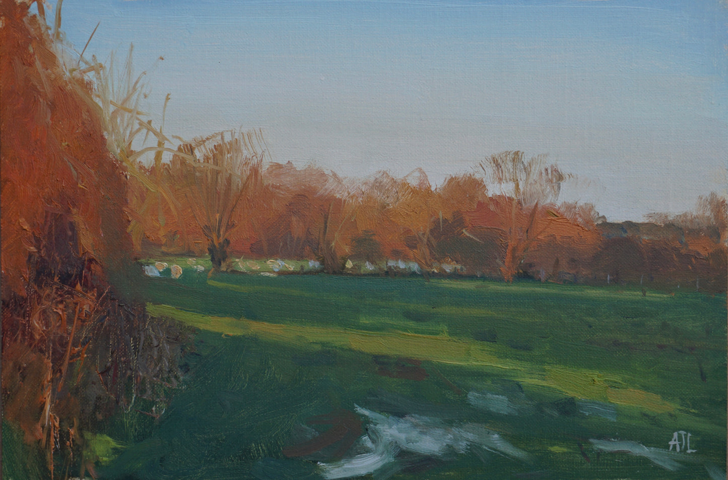 An original oil painting of the golden hour in the edge of a field and copse of trees and brush in the Cotswolds countryside. The artist has signed AJL in blue, for "Alex James Long", at the bottom right of the artwork.
