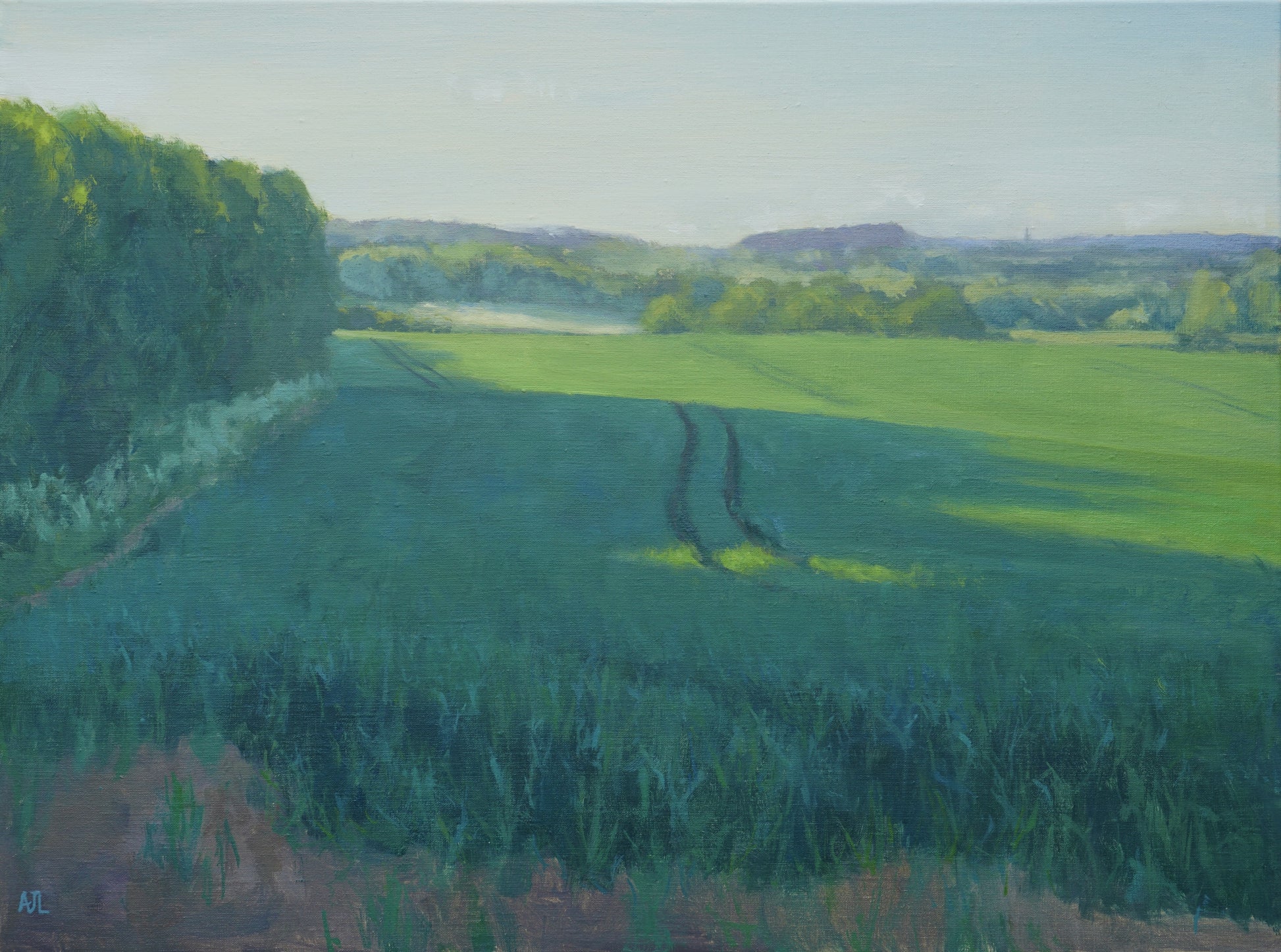 An original oil painting of a field in many tones of green. Strong sunlight causes vibrant green hues on the upper right, and deep shadows cut across the field from the left caused by a copse of trees and are especially dark in the central curved indented tyre tracks. It is a day in May when spring is turning towards summer. The artist has signed AJL in blue, for "Alex James Long", at the bottom left of the artwork.