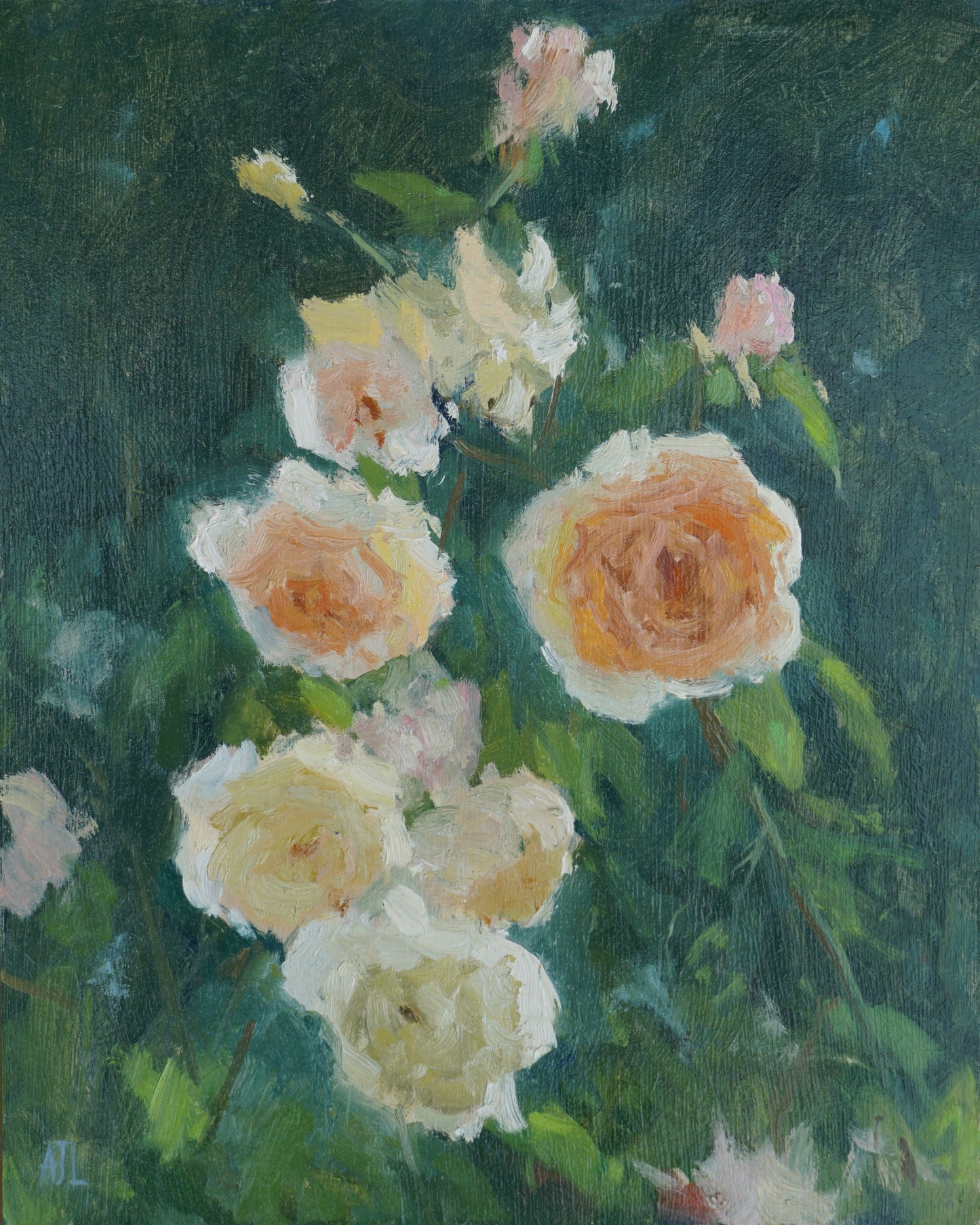 An original oil painting of a flush of blooming apricot roses in focus with a green background.
