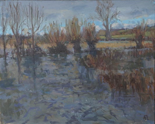 An original oil painting of a flooded field and the Windrush River in Asthall on a cloudy winter's day. The artist has signed AJL, for "Alex James Long", at the bottom right of the artwork.