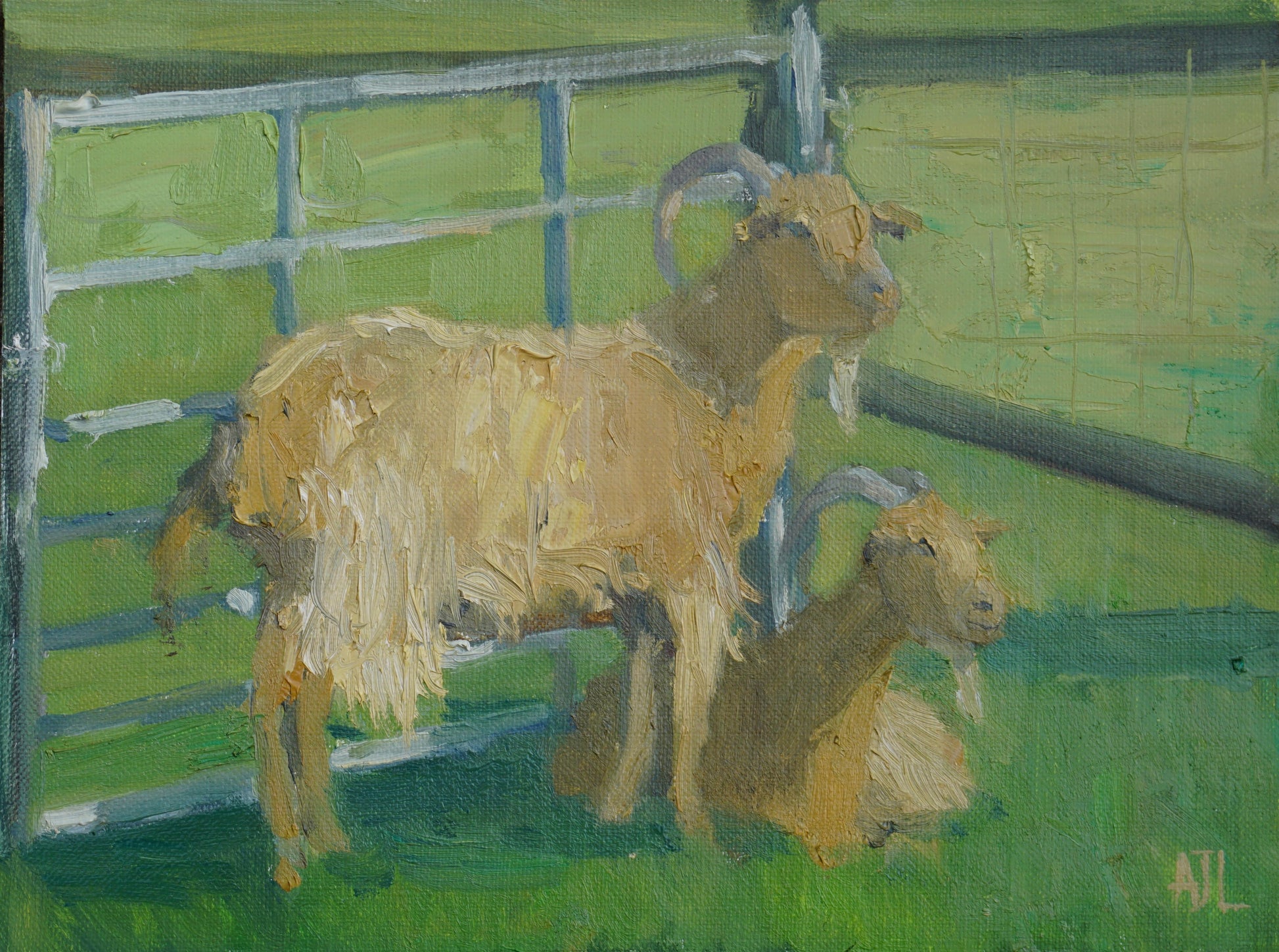 An original oil painting of two golden brown goats at Cogges Manor Farm in a gated enclosure. One is standing and the other is lying on the green grass; both are facing to the right, towards the sunlight. The artist has signed AJL in beige, for "Alex James Long", at the bottom right of the artwork.