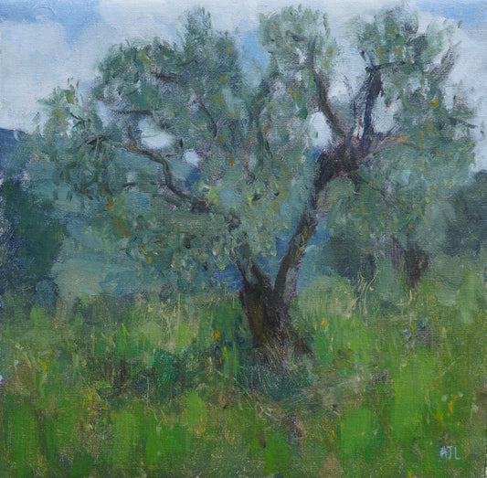 Oil painting depicting an olive tree in tuscany, with hills and fields in the background