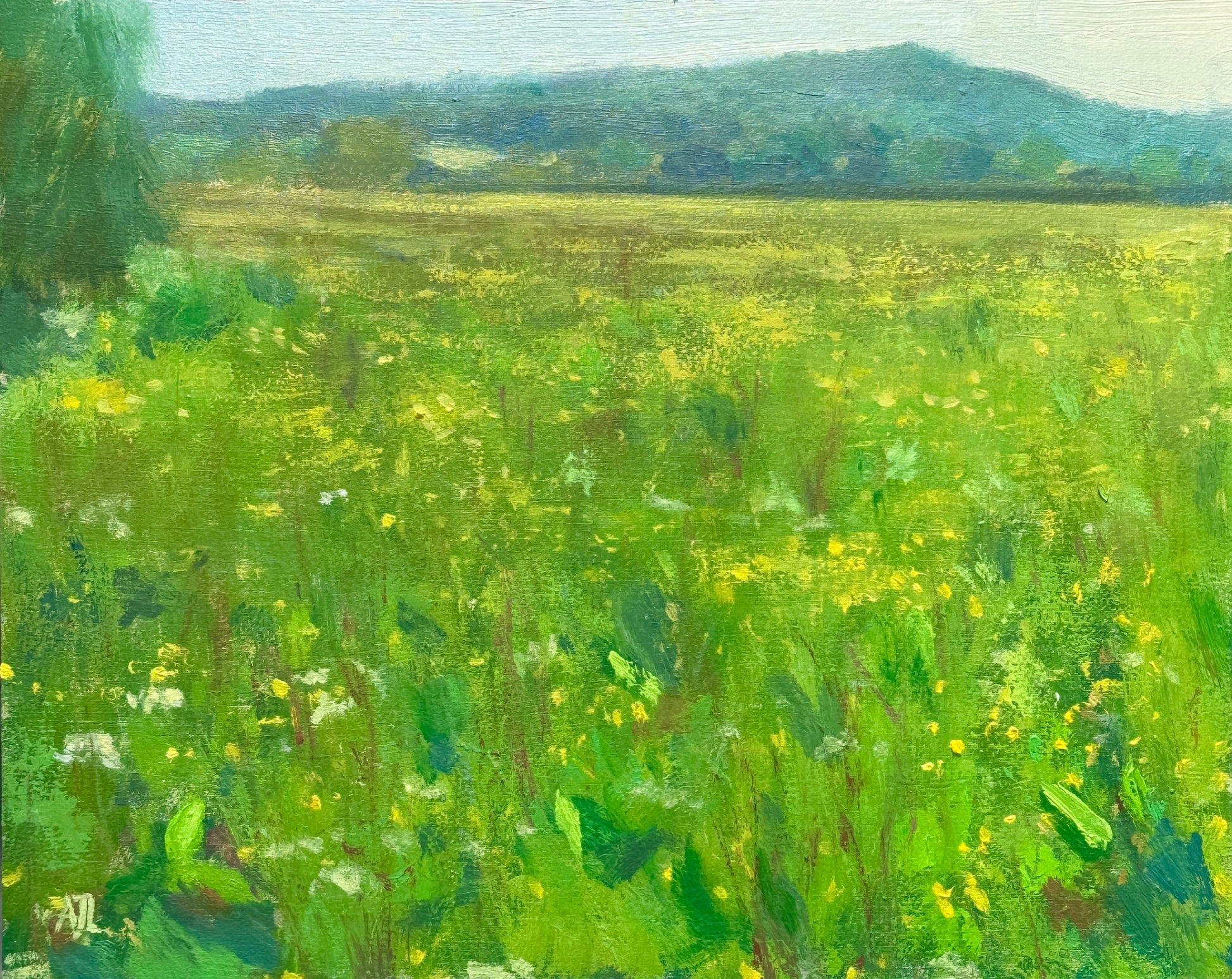 An original oil painting of a green and yellow field with a large hill in the distance.