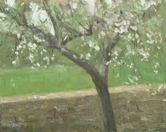 An impressionistic painting of a flowering apple tree with white blossoms and a green field in the background, rendered in soft brushstrokes of green, white, brown, and gray.