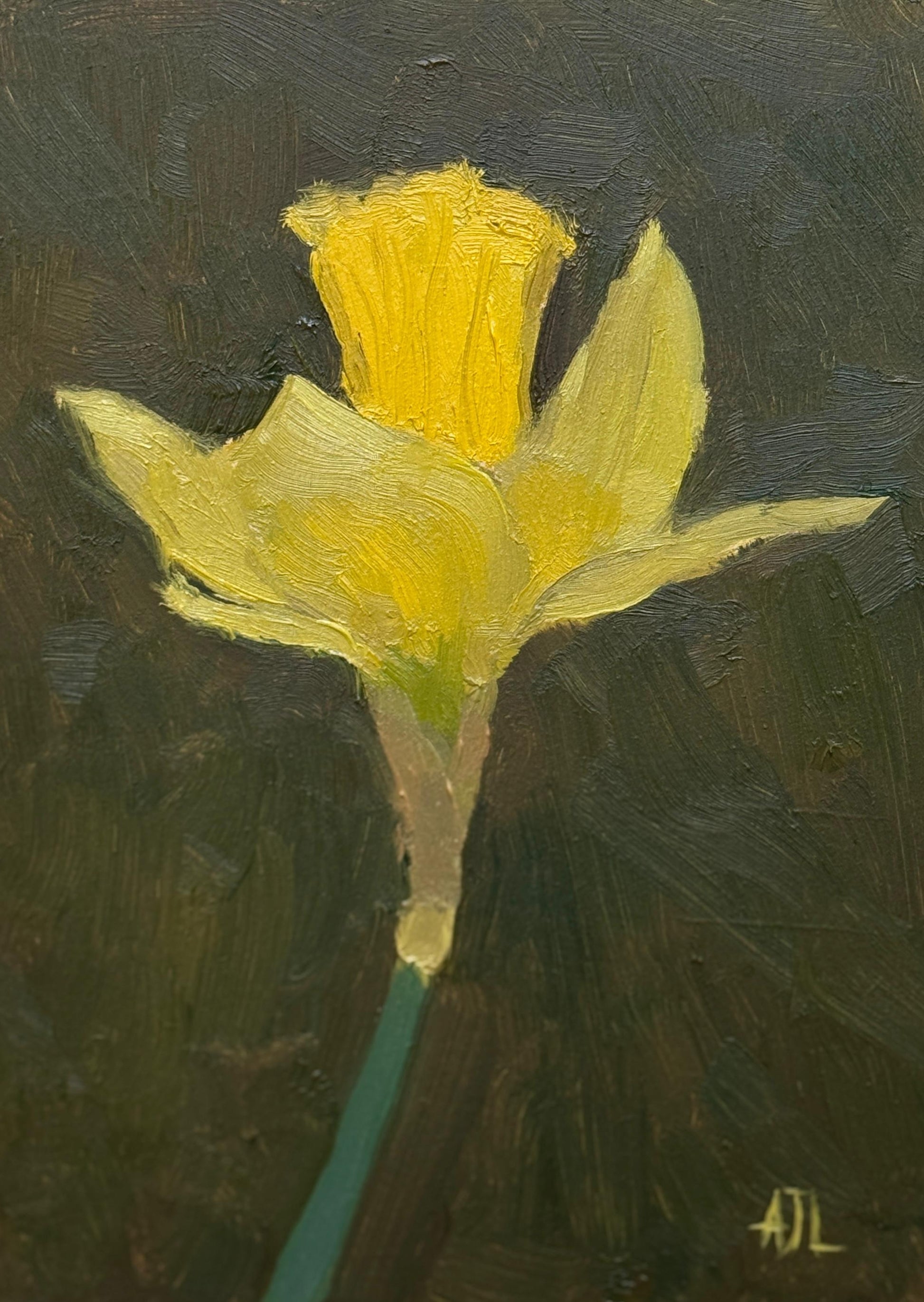An oil painting of a single yellow daffodil with a green stem against a dark textured background, featuring visible brushstrokes and a small artist signature in the bottom right corner.