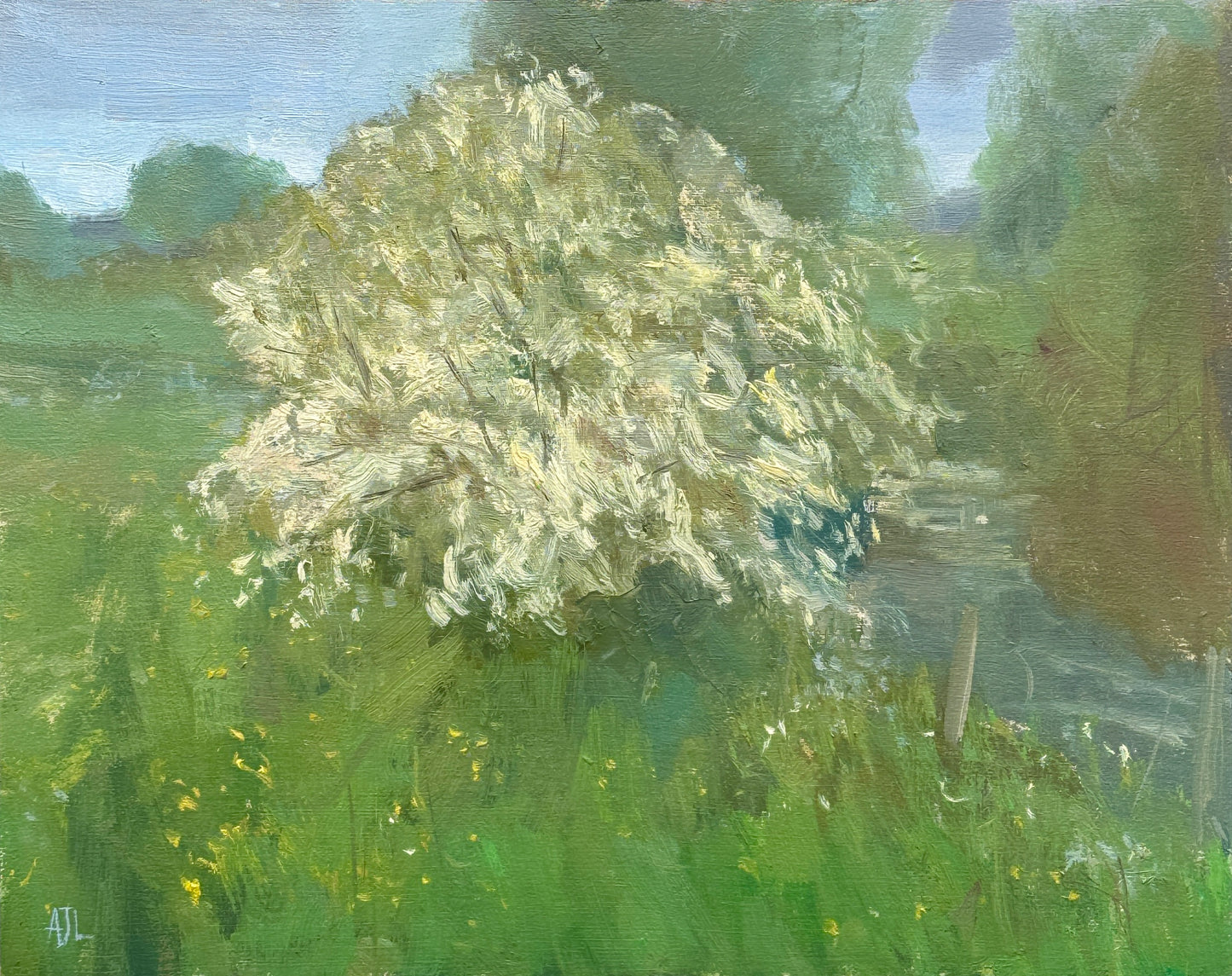An original oil painting of a hawthorn tree in full bloom.