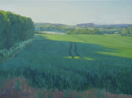 An original oil painting of a field in many tones of green. Strong sunlight causes vibrant green hues on the upper right, and deep shadows cut across the field from the left caused by a copse of trees and are especially dark in the central curved indented tyre tracks. It is a day in May when spring is turning towards summer. The artist has signed AJL in blue, for "Alex James Long", at the bottom left of the artwork. 