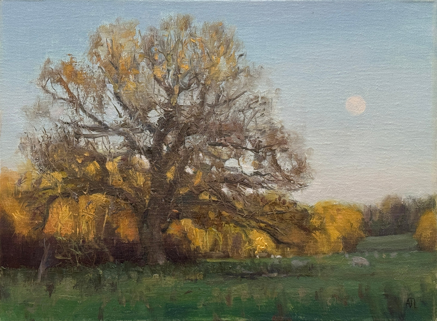 An original oil painting of an oak tree with a rising moon in the background.