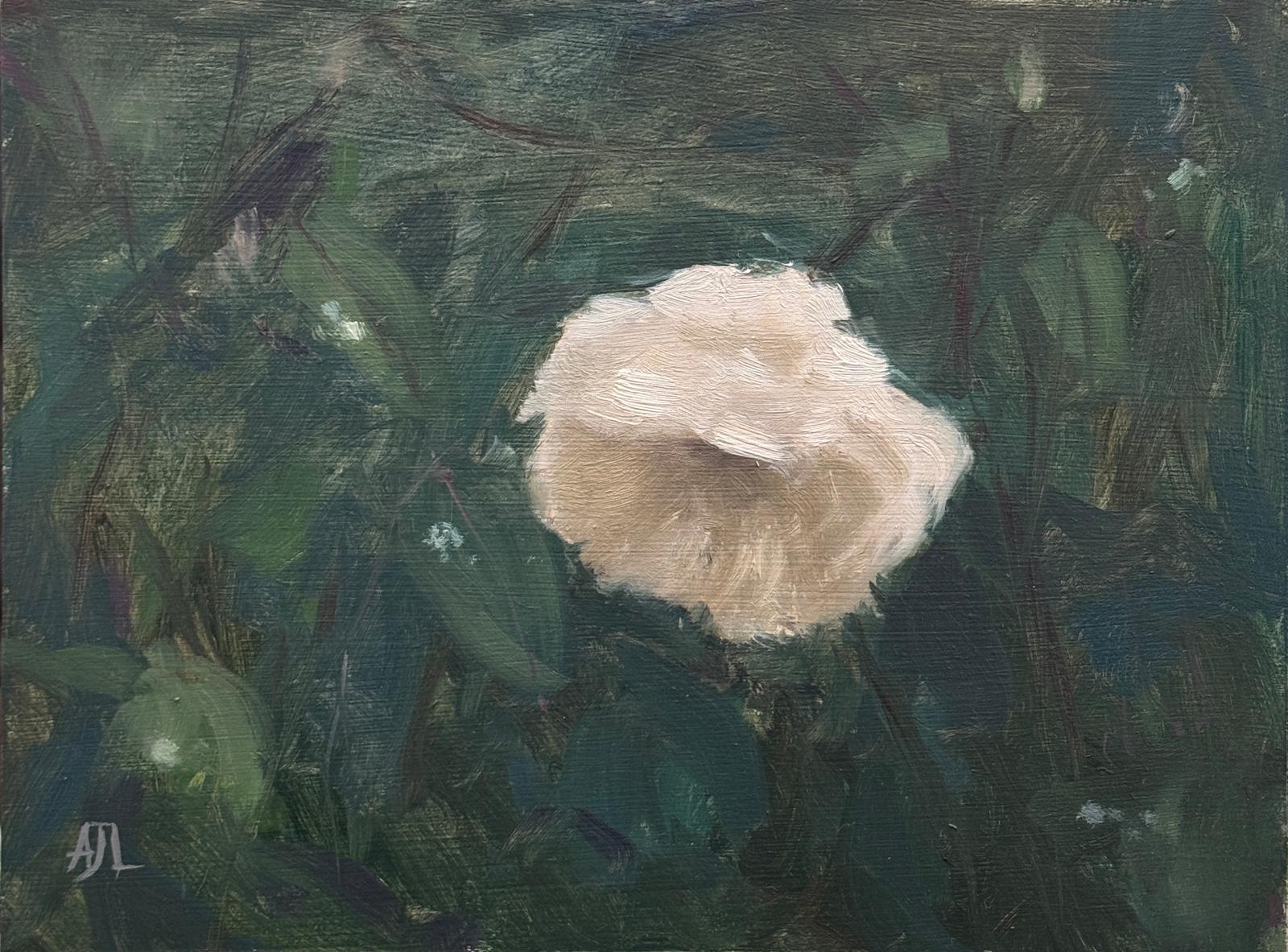 An original oil painting of a white rose tilted downwards.