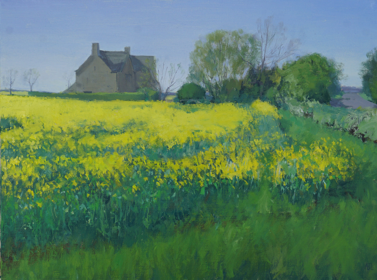 An original oil painting of a field of blooming bright yellow rapeseed canola flowers, with a large house and small copse of trees visible in the distance.