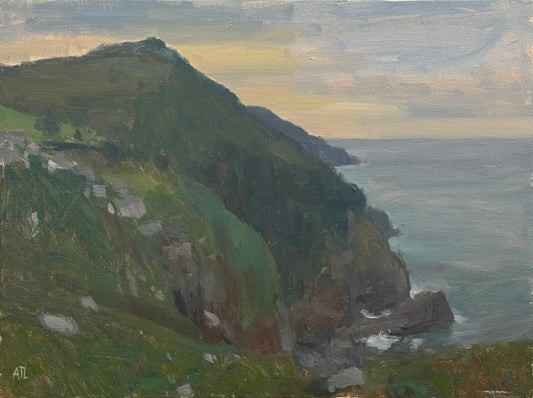 An original oil painting of a coast in Devon.