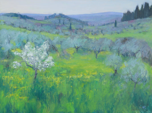 An original oil painting of rolling Tuscan hills covered in green grass and vibrant yellow spring flowers as well as groves of silver-blue olive trees. The artist has signed AJL in blue, for "Alex James Long", at the bottom right of the artwork. 
