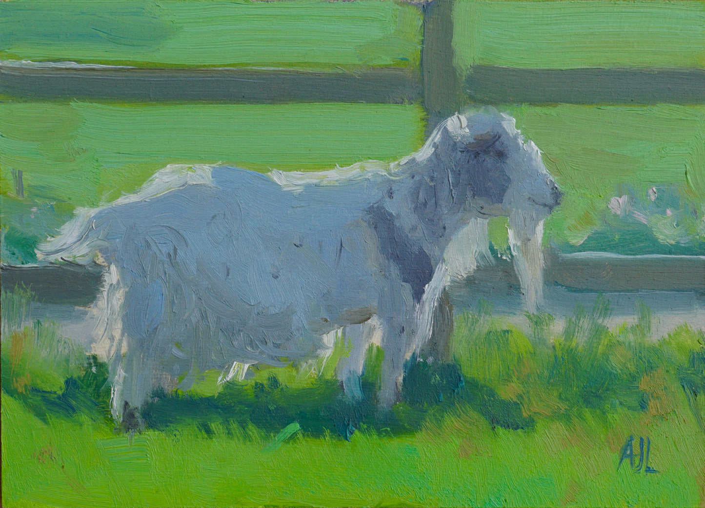 An original oil painting of a white goat at Cogges Manor Farm facing to the right in front of a wooden fence with lush green grass in the foreground and background. The artist has signed AJL in blue, for "Alex James Long", at the bottom right of the artwork. 