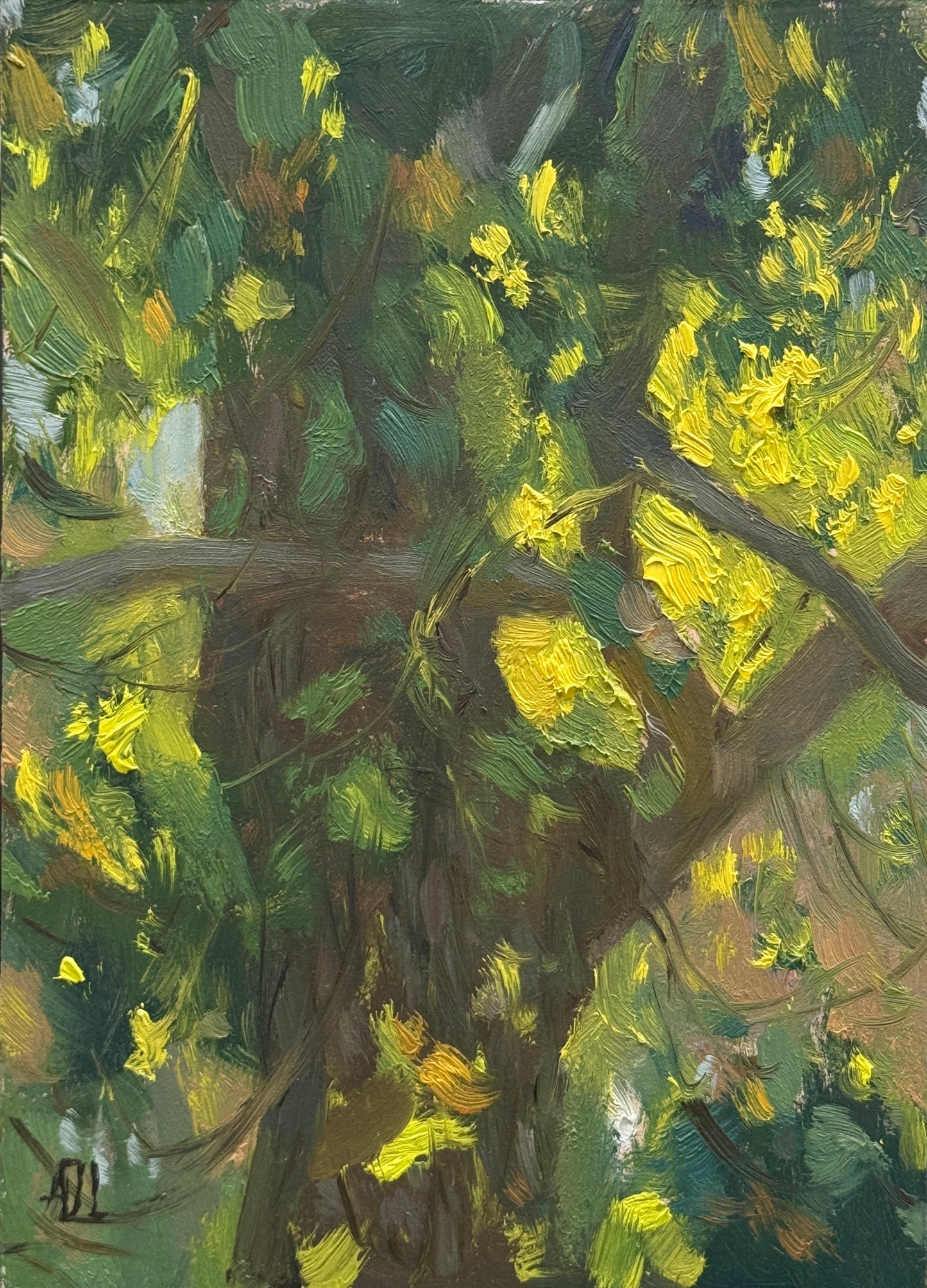 An original oil painting of a walnut tree with sunlight coming through the leaves.