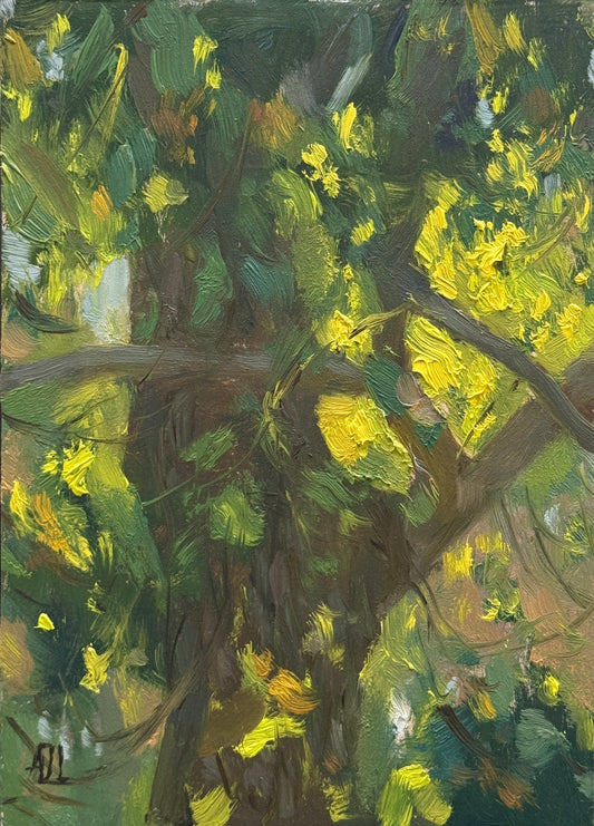An original oil painting of a walnut tree with sunlight coming through the leaves.