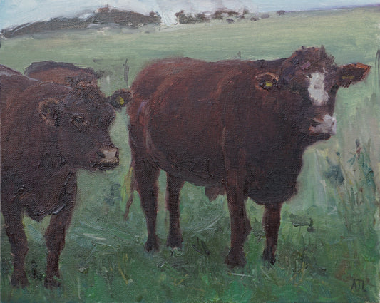 An original oil painting of two brown cows very close up and looking at the viewer, on a sloping hill with tall green grass. The artist has signed AJL in blue, for "Alex James Long", at the bottom right of the artwork. 