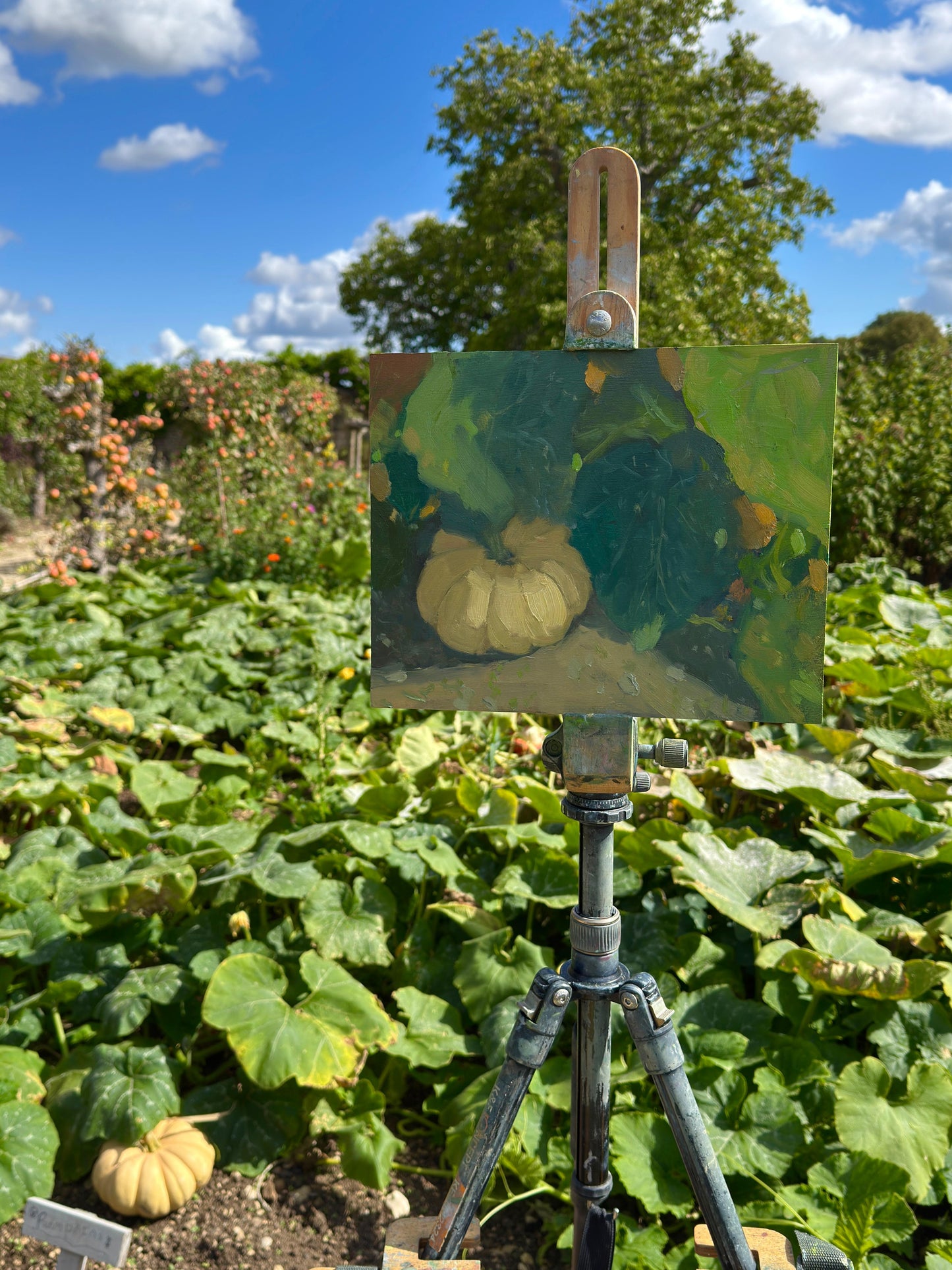 The painting in progress by the pumpkin patch.
