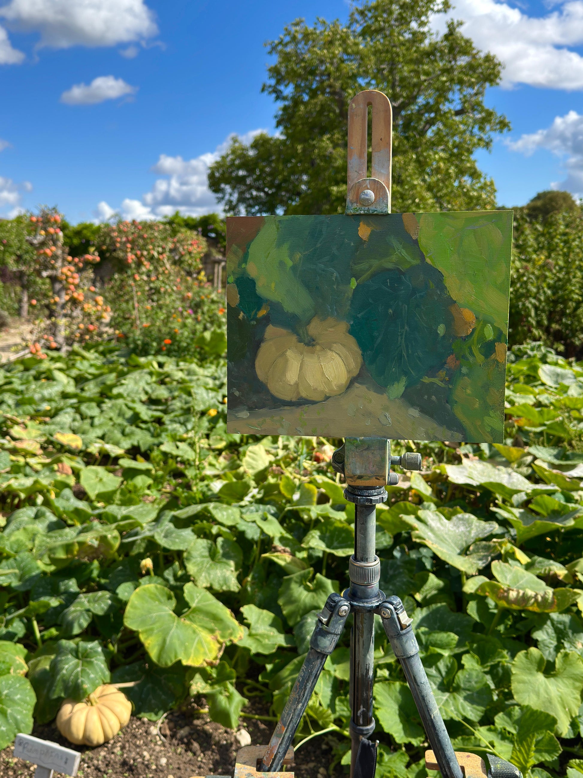 The painting in progress by the pumpkin patch.