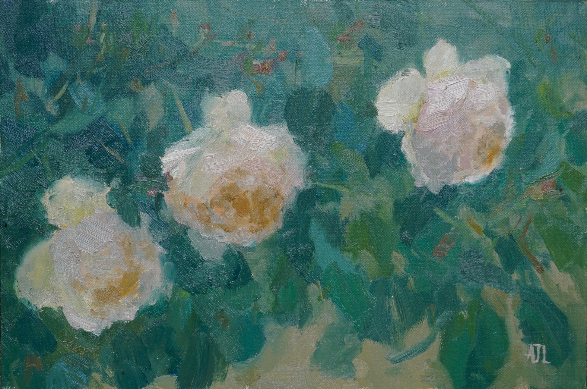 An original oil painting of three blooming white-apricot-coloured roses with green leaves, making up the background of the piece. The artist has signed AJL, for "Alex James Long", at the bottom right of the artwork. 