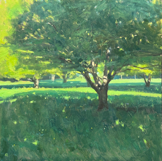 The original painting of a large green field maple on a sunny day.