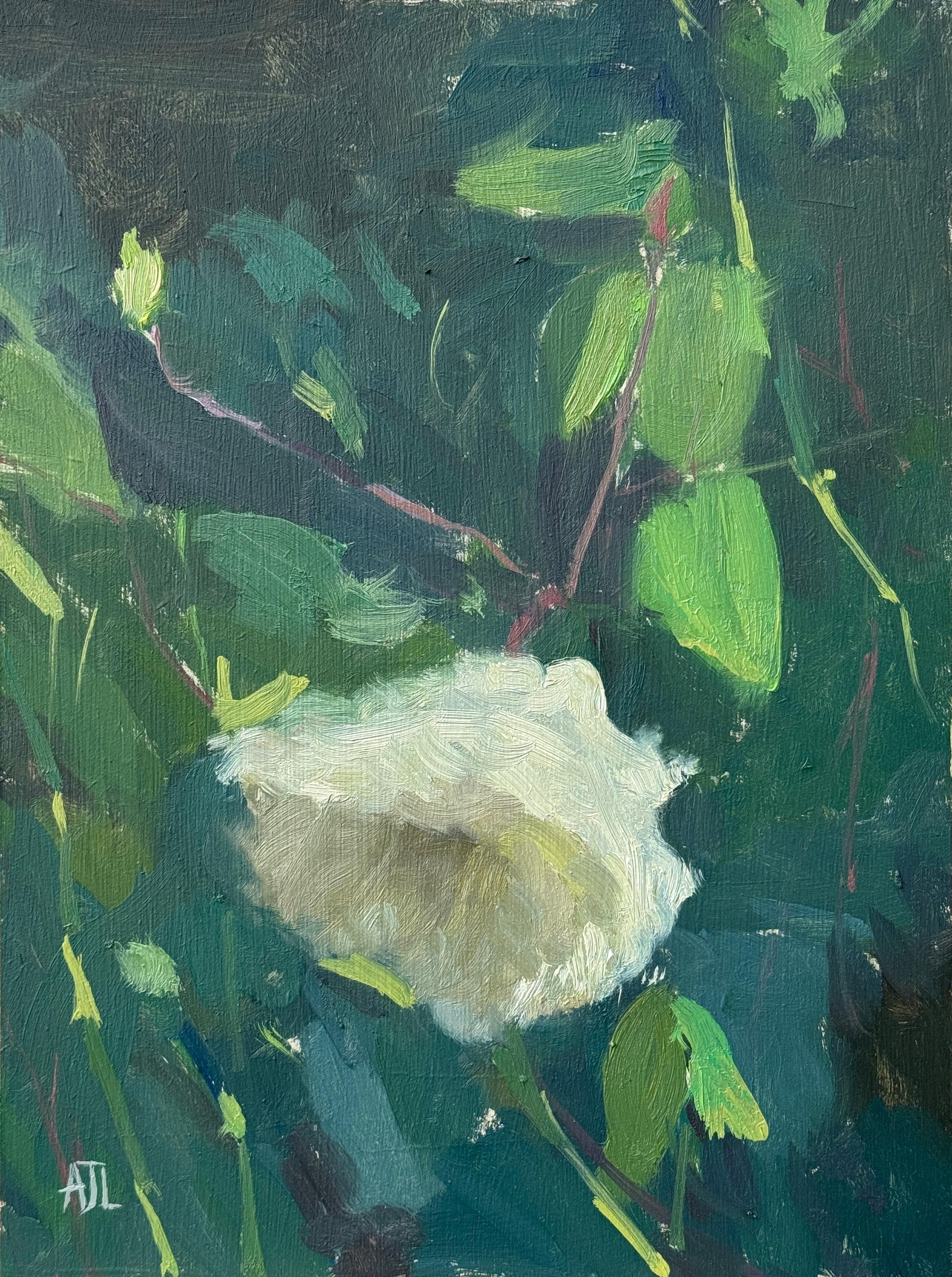 An original oil painting of a wilting white rose surrounded by verdant foliage.