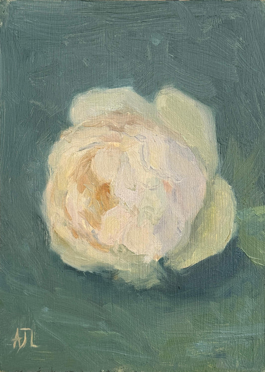 Original oil painting of a white-yellow rose on a dark green background. The artist has signed AJL in yellow, for "Alex James Long", at the bottom left of the artwork. 