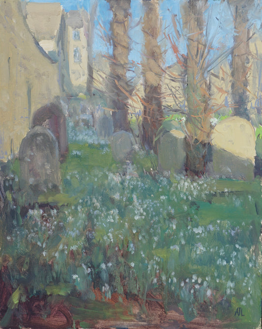 Snowdrops in the Shade, St John's, Burford